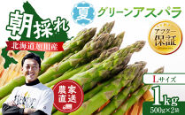【先行予約】農家直送&nbsp;朝採れ&nbsp;夏グリーンアスパラ&nbsp;Lサイズ&nbsp;1kg(500g×2袋)北海道旭川産(2026年6月下旬発送開始予定)&nbsp;_05931