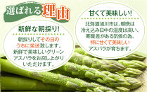 【先行予約】農家直送&nbsp;朝採れ&nbsp;夏グリーンアスパラ&nbsp;Lサイズ&nbsp;1kg(500g×2袋)北海道旭川産(2026年6月下旬発送開始予定)&nbsp;_05931