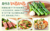 【先行予約】農家直送&nbsp;朝採れ&nbsp;夏グリーンアスパラ&nbsp;Lサイズ&nbsp;1kg(500g×2袋)北海道旭川産(2026年6月下旬発送開始予定)&nbsp;_05931