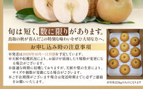 【2026年10月頃より発送】岸田秀果園&nbsp;新興梨&nbsp;(自家用)5kg