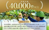 【2026年10月頃より発送】岸田秀果園&nbsp;新興梨&nbsp;(自家用)5kg