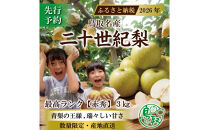 三ツ田農園&nbsp;二十世紀梨(赤秀)3kg【8月下旬以降お届け】