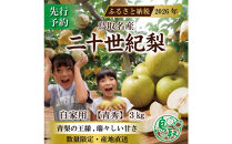 三ツ田農園&nbsp;二十世紀梨(青秀)3kg【8月下旬以降お届け】