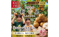 三ツ田農園&nbsp;新甘泉(赤秀)3kg【8月中旬以降お届け】