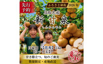 三ツ田農園&nbsp;新甘泉(青秀)3kg【8月中旬以降お届け】