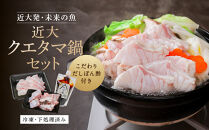近大クエタマ鍋セット500g（2027年2月上旬～2月中旬発送）