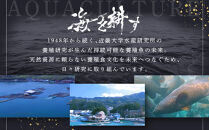 近大クエタマ鍋セット500g（2027年1月下旬～2月上旬発送）
