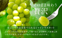 厳選&nbsp;シャインマスカット&nbsp;2房&nbsp;合計900g【9月上旬以降発送】
