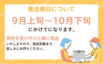 ＜2026年発送先行予約&nbsp;＞シャインマスカット2房&nbsp;合計900g&nbsp;家庭用&nbsp;【9月上旬以降発送】|&nbsp;&nbsp;岡山県産フルーツ&nbsp;ぶどう&nbsp;果物&nbsp;果物&nbsp;くだもの&nbsp;シャインマスカット&nbsp;ぶどう&nbsp;葡萄&nbsp;マスカット&nbsp;農家直送&nbsp;チョイス限定&nbsp;人気&nbsp;岡山市&nbsp;ふるさと納税&nbsp;送料無料&nbsp;