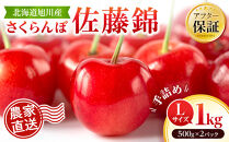 【先行予約】戸田果樹園&nbsp;佐藤錦&nbsp;Lサイズ1kg(500g×2パック)&nbsp;手詰め（2026年7月上旬より発送開始予定）_05950