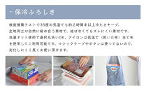 【三陽商事】保冷ふろしき&nbsp;グレー｜京都&nbsp;風呂敷&nbsp;エコバッグ&nbsp;結ばなくてもズレない［&nbsp;結ばなくてもバッグに早変わり&nbsp;冷たさキープ&nbsp;洗濯機丸洗いOK&nbsp;人気&nbsp;おすすめ&nbsp;おしゃれ&nbsp;お取り寄せ&nbsp;通販&nbsp;送料無料&nbsp;ふるさと納税&nbsp;］