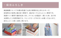 【三陽商事】保冷ふろしき&nbsp;ピンク｜京都&nbsp;風呂敷&nbsp;エコバッグ&nbsp;結ばなくてもズレない［&nbsp;結ばなくてもバッグに早変わり&nbsp;冷たさキープ&nbsp;洗濯機丸洗いOK&nbsp;人気&nbsp;おすすめ&nbsp;おしゃれ&nbsp;お取り寄せ&nbsp;通販&nbsp;送料無料&nbsp;ふるさと納税&nbsp;］