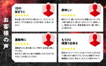 【ファイテン】エナジードライ&nbsp;250ml×30本×1箱｜京都&nbsp;人気ブランド&nbsp;エナジードリンク［&nbsp;京都&nbsp;phiten&nbsp;エナジードリンク&nbsp;250ml&nbsp;箱買い&nbsp;エナドリ&nbsp;カフェイン&nbsp;マカエキス&nbsp;マカ&nbsp;シトルリン&nbsp;bcaa&nbsp;ビタミンb&nbsp;ビタミンd&nbsp;ビタミン&nbsp;炭酸飲料&nbsp;微炭酸&nbsp;缶&nbsp;エネルギーチャージ&nbsp;活力&nbsp;リフレッシュ&nbsp;人気&nbsp;おすすめ&nbsp;健康&nbsp;スポーツ&nbsp;運動&nbsp;日常&nbsp;お取り寄せ&nbsp;通販&nbsp;送料無料&nbsp;ふるさと納税&nbsp;］