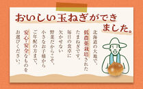 【先行予約】農家直送&nbsp;低農薬&nbsp;旭川産&nbsp;玉ねぎＬサイズ20kg(2026年9月発送開始予定)_05935
