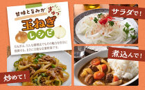 【先行予約】農家直送&nbsp;低農薬&nbsp;旭川産&nbsp;玉ねぎＬサイズ20kg(2026年9月発送開始予定)_05935