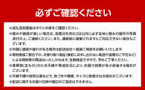 【先行予約】農家直送&nbsp;低農薬&nbsp;旭川産&nbsp;玉ねぎＬサイズ20kg(2026年9月発送開始予定)_05935