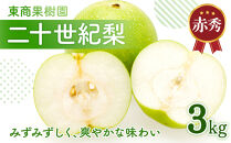 東商果樹園&nbsp;二十世紀梨&nbsp;(赤秀)&nbsp;3kg【8月下旬以降お届け】