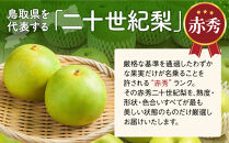 東商果樹園&nbsp;二十世紀梨&nbsp;(赤秀)&nbsp;3kg【8月下旬以降お届け】