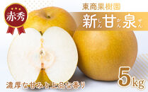東商果樹園&nbsp;新甘泉&nbsp;(赤秀)&nbsp;5kg【8月下旬以降お届け】