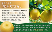 東商果樹園&nbsp;新甘泉&nbsp;(赤秀)&nbsp;5kg【8月下旬以降お届け】