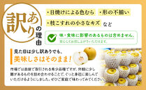 東商果樹園&nbsp;新甘泉&nbsp;(訳あり)&nbsp;3kg【8月下旬以降お届け】