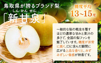 東商果樹園&nbsp;新甘泉&nbsp;(訳あり)&nbsp;3kg【8月下旬以降お届け】