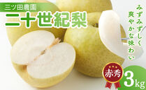 三ツ田農園&nbsp;二十世紀梨&nbsp;(赤秀)3kg【8月下旬以降お届け】