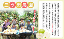 三ツ田農園&nbsp;二十世紀梨&nbsp;(赤秀)3kg【8月下旬以降お届け】