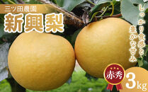 三ツ田農園&nbsp;新興梨&nbsp;(赤秀)3kg【10月頃お届け】