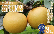三ツ田農園&nbsp;新興梨&nbsp;(青秀)3kg【10月頃お届け】