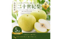 有梨の実石田&nbsp;二十世紀梨&nbsp;(ギフト用)5kg【8月下旬以降お届け】
