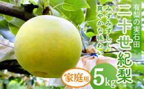有梨の実石田&nbsp;二十世紀梨&nbsp;(自家用)5kg【8月下旬以降お届け】
