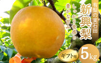 有梨の実石田&nbsp;新興梨&nbsp;(ギフト用)5kg【10月頃お届け】