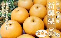 岸田秀果園&nbsp;新興梨&nbsp;(自家用)5kg【10月頃お届け】
