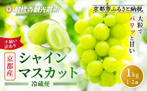 《先行予約&nbsp;2026年8月下旬～9月発送》【勧修寺観光農園】不揃い訳あり&nbsp;京都市産&nbsp;シャインマスカット&nbsp;1kg｜シャインマスカット&nbsp;人気［&nbsp;観光農園&nbsp;シャインマスカット&nbsp;ぶどう&nbsp;不揃い&nbsp;訳あり&nbsp;フルーツ&nbsp;デザート&nbsp;おいしい&nbsp;グルメ&nbsp;人気&nbsp;おすすめ&nbsp;お取り寄せ&nbsp;通販&nbsp;送料無料&nbsp;ふるさと納税&nbsp;］