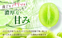 《先行予約&nbsp;2026年8月下旬～9月発送》【勧修寺観光農園】不揃い訳あり&nbsp;京都市産&nbsp;シャインマスカット&nbsp;1kg｜シャインマスカット&nbsp;人気［&nbsp;観光農園&nbsp;シャインマスカット&nbsp;ぶどう&nbsp;不揃い&nbsp;訳あり&nbsp;フルーツ&nbsp;デザート&nbsp;おいしい&nbsp;グルメ&nbsp;人気&nbsp;おすすめ&nbsp;お取り寄せ&nbsp;通販&nbsp;送料無料&nbsp;ふるさと納税&nbsp;］