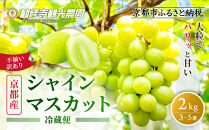 《先行予約&nbsp;2026年8月下旬～9月発送》【勧修寺観光農園】不揃い訳あり&nbsp;京都市産&nbsp;シャインマスカット&nbsp;2kg｜シャインマスカット&nbsp;人気［&nbsp;観光農園&nbsp;シャインマスカット&nbsp;ぶどう&nbsp;不揃い&nbsp;訳あり&nbsp;フルーツ&nbsp;デザート&nbsp;おいしい&nbsp;グルメ&nbsp;人気&nbsp;おすすめ&nbsp;お取り寄せ&nbsp;通販&nbsp;送料無料&nbsp;ふるさと納税&nbsp;］