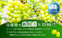 《先行予約&nbsp;2026年8月下旬～9月発送》【勧修寺観光農園】不揃い訳あり&nbsp;京都市産&nbsp;シャインマスカット&nbsp;2kg｜シャインマスカット&nbsp;人気［&nbsp;観光農園&nbsp;シャインマスカット&nbsp;ぶどう&nbsp;不揃い&nbsp;訳あり&nbsp;フルーツ&nbsp;デザート&nbsp;おいしい&nbsp;グルメ&nbsp;人気&nbsp;おすすめ&nbsp;お取り寄せ&nbsp;通販&nbsp;送料無料&nbsp;ふるさと納税&nbsp;］