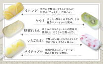 【京菓匠&nbsp;鶴屋長生】「フルーツ」葛アイスバー15個入&nbsp;シャリぷる新食感で人気急増！&nbsp;京都&nbsp;スイーツ&nbsp;ブランド&nbsp;アイス&nbsp;贅沢&nbsp;ご褒美&nbsp;[&nbsp;京菓子&nbsp;葛入り&nbsp;新食感&nbsp;アイスキャンディー&nbsp;5種類&nbsp;フルーツ&nbsp;グルメ&nbsp;おすすめ&nbsp;おいしい&nbsp;お菓子&nbsp;洋菓子&nbsp;ギフト&nbsp;プレゼント&nbsp;贈答&nbsp;お取り寄せ&nbsp;通販&nbsp;送料無料&nbsp;]