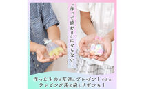 レジン＆ホイップデコよくばりスターターセット（クール）