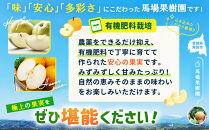 【2026年先行予約／訳あり】【馬場果樹園】品種おまかせ&nbsp;旬の和梨&nbsp;約5kg&nbsp;8月中旬～順次発送