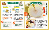 【2026年先行予約／訳あり】【馬場果樹園】品種おまかせ&nbsp;旬の和梨&nbsp;約5kg&nbsp;8月中旬～順次発送