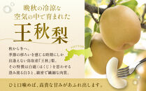 【先行予約】岸田秀果園&nbsp;王秋&nbsp;(ギフト用)5kg