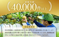 【先行予約】岸田秀果園&nbsp;王秋&nbsp;(ギフト用)5kg