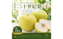 おすすめ [先行予約]有梨の実石田 二十世紀梨 (自家用)5kg