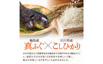 天然　輪島ふぐの炙り出汁茶漬け（4食入）&nbsp;金沢市&nbsp;ふぐ&nbsp;ふぐの炙り&nbsp;ふぐ出汁&nbsp;だし&nbsp;岩のり&nbsp;あおさ&nbsp;柚子&nbsp;三つ葉&nbsp;ごはん&nbsp;ご飯&nbsp;人気&nbsp;おすすめ&nbsp;送料無料