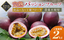 期間限定【農薬不使用】奄美大島&nbsp;完熟パッションフルーツ2kg（農家直送）｜食品微生物　バイオスティミュラント　土壌フローラの改善　点滴潅水　皇室献上　送料無料　国産　無農薬