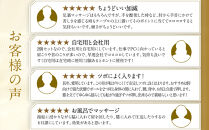 【ファイテン】メタックスボール(2個入り)｜京都&nbsp;ボール&nbsp;人気ブランド［&nbsp;京都&nbsp;phiten&nbsp;ボール&nbsp;肩&nbsp;首&nbsp;足裏&nbsp;足&nbsp;腕&nbsp;背中&nbsp;肩甲骨&nbsp;マッサージボール&nbsp;ストレッチ&nbsp;ストレッチボール&nbsp;人気&nbsp;おすすめ&nbsp;健康&nbsp;マッサージグッズ&nbsp;マッサージ用品&nbsp;ボディケア&nbsp;セルフケア&nbsp;お取り寄せ&nbsp;通販&nbsp;送料無料&nbsp;ふるさと納税］