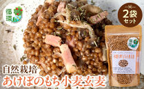 【信濃大町循環ブランド】自然栽培あけぼのもち小麦玄麦２袋セット