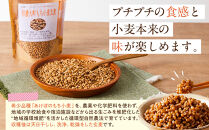 【信濃大町循環ブランド】自然栽培あけぼのもち小麦玄麦２袋セット